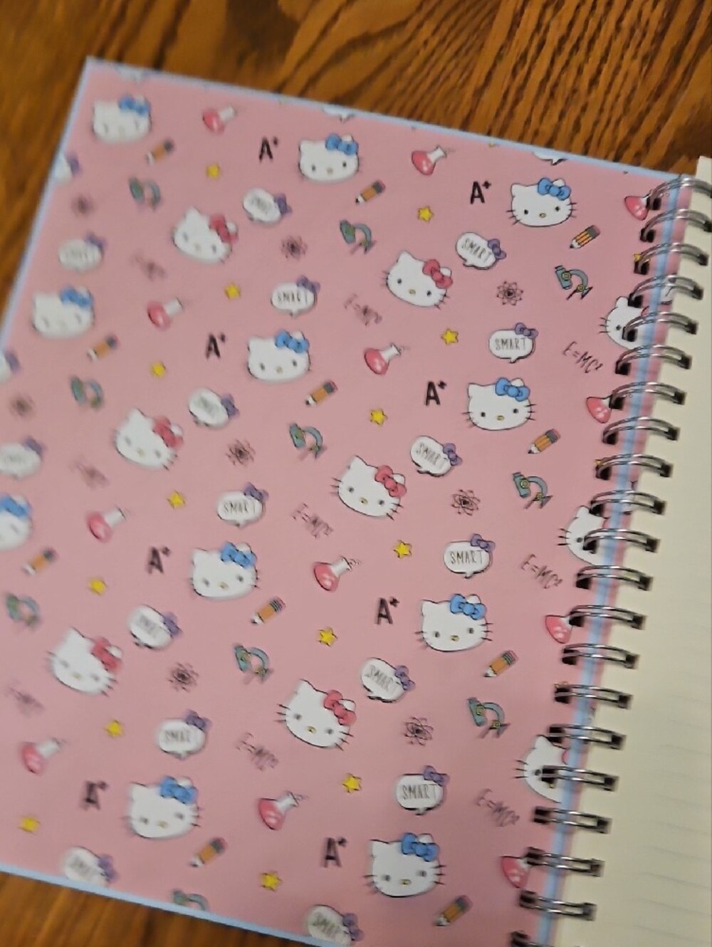 Notebooks with Hello Kitty - Picture 6 of 8